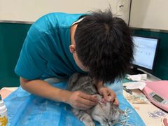 -美迦爱-牙专科·兔科·骨科诊疗中心(北苑店)