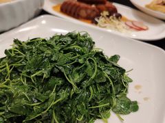 -新南华大酒店(广中店)