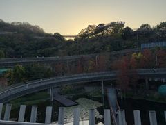 -福道