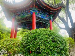 -莲湖公园