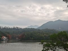 -深圳仙湖植物园