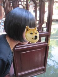 -THE LOG SALON 记录