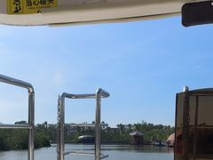 -东寨港红树林旅游区