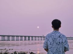 -宝安西湾红树林湿地公园