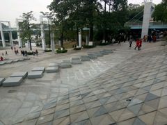 -东莞植物园