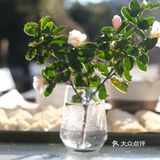 二鸟宅：让吃饭必须有仪式感