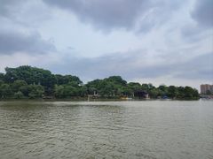 -八大山人梅湖景区