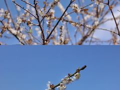 -广州市流溪河国家森林公园