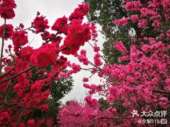 -秀丽东方