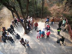 -青龙山国家森林公园