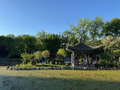 -莲湖公园