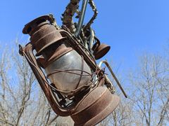 -呀路古热带植物园