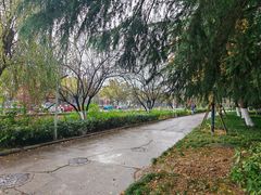 -南京中医药大学(仙林校区)
