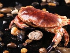 -渔民船说·北塘海鲜·天津菜·海肠捞饭(北塘古镇店)
