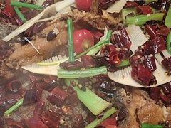 -老板恋上鱼(恒隆广场店)