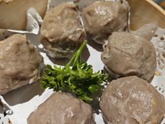 -南城十里潮汕鲜牛火锅·鲜虾生滚粥(融汇老商埠店)