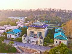 -武汉大学-樱园