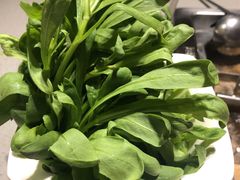 茼蒿-海底捞火锅(海宁路店)