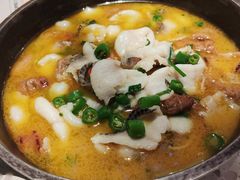 肥肠鱼-赵小姐丨新中餐(曲江店)