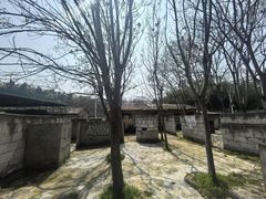-东湖小天池真人CS彩弹野战基地