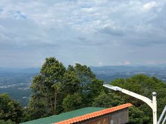 -黄埔油麻山森林公园