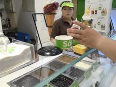 -Salud撒露欧洲冻酸奶(蓝色港湾店)