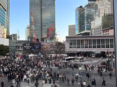 -涩谷全向十字路口