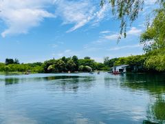 -上海共青森林公园