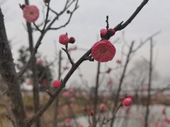 -云水涧亲子度假酒店
