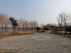 -淇河国家湿地公园