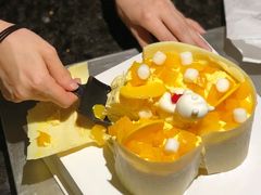 彩虹小熊乳酪蛋糕-CAKE BOSS 蛋糕老板(领展购物广场·中关村店)