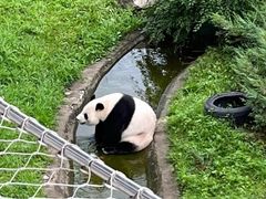 -沈阳森林动物园
