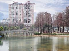 -四海公园(南山区)
