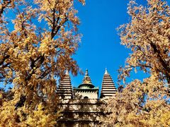 -北京石刻艺术博物馆(五塔寺)