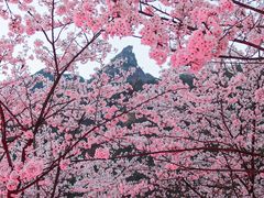-高岚大峡谷旅游度假区