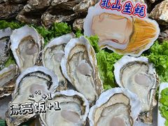 -开海·红岛海鲜虾水饺(石老人店)