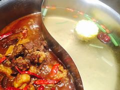 牛腩鸳鸯锅-手选潮汕鲜活牛肉火锅(二七广场店)