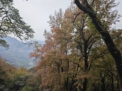 -广州市石门国家森林公园