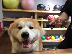 -YCHL Studios健身工作室(市二宫店)