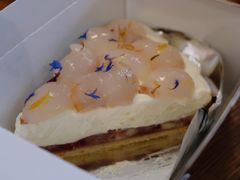 树莓荔枝塔-Pie Bird(新闸路店)
