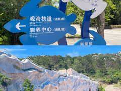 -广东惠东海龟国家级自然保护区