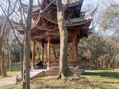 -采石矶景区