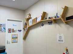 -美联众合爱康动物医院•复杂内科•肿瘤科•牙科•腔镜诊疗中心