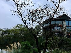 -木守西溪溪隐餐厅