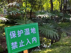 -成都市活水公园