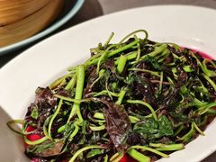 -南堂馆·新川菜(春熙路店)