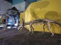 -湖南省地质博物馆