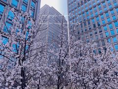 -陆家嘴世纪金融广场