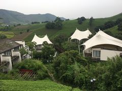 -帐篷客·溪龙茶谷度假酒店