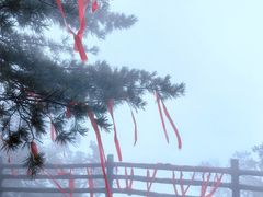 -秦岭天竺山景区